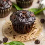 Chocolate Spinach Muffins: close-up of a moist chocolate muffin with chocolate chips, hiding spinach for a nutritious twist — great for Healthy Toddler Snack Ideas.