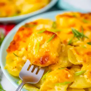 A dish of Instant Pot Scalloped Potatoes with a golden bubbly cheese topping, creamy sliced potatoes, and a rich baked finish for a classic comfort-food side.